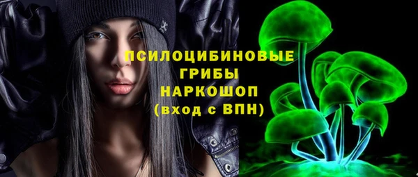 мет Новозыбков