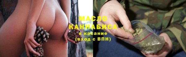 мет Новозыбков