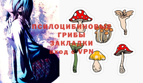 mdpv Новокубанск
