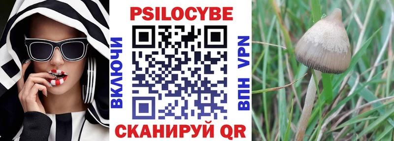 дарнет шоп  Усть-Катав  Псилоцибиновые грибы Psilocybe 